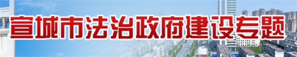 法治政府建设